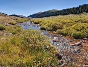 Scott Gomer Creek Fall Colors 22 Sept 2023