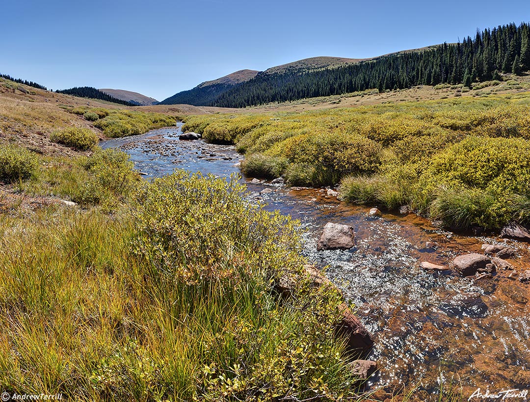 Scott Gomer Creek Fall Colors 22 Sept 2023