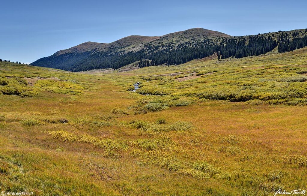 Scott Gomer Creek Fall Colors 22 Sept 2023