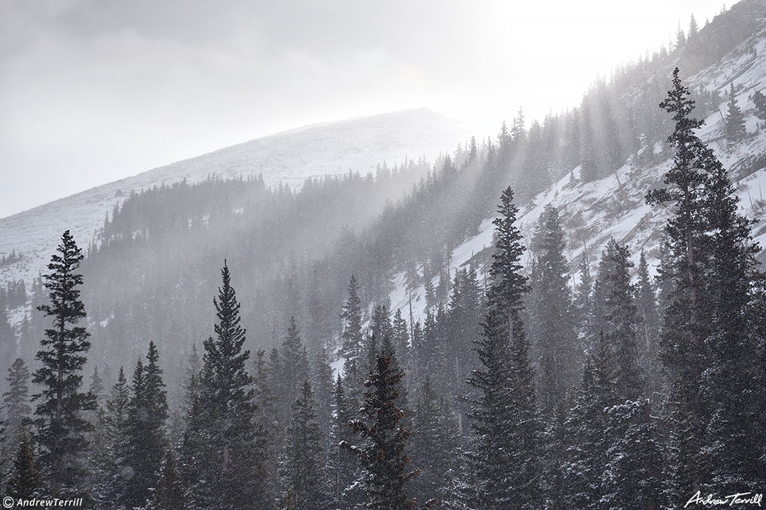 sunbeams and snow colorado april 15 2023