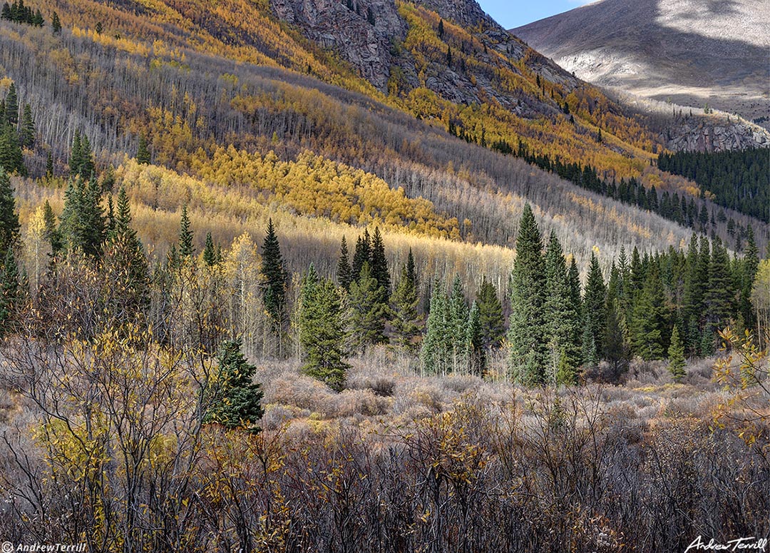 abyss trail aspen 4 october 2023