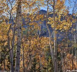 aspen abyss trail 4 october 2023