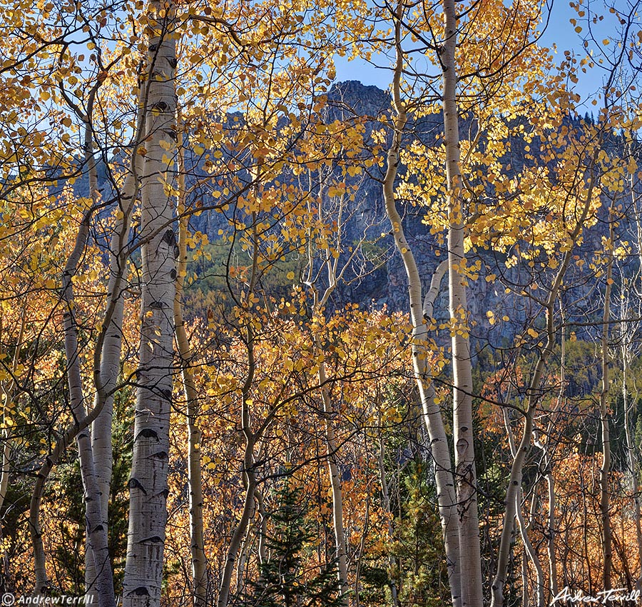  aspen abyss trail 4 october 2023