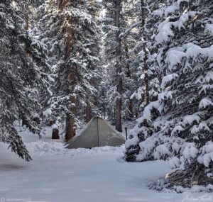 winter camp tent in snowy forest 8 November 2023