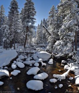 Chicago Creek 9 November 2023