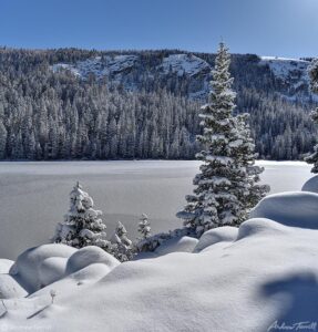 snow and pine and lake 9 November 2023