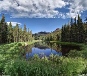 forest pond colorado 28 july 2023