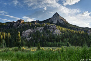 Meadow and outcrops colorado