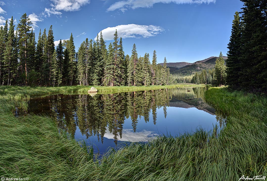 forest pond colorado 28 july 2023