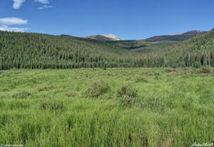 meadow mount blue sky colorado 28 july 2023