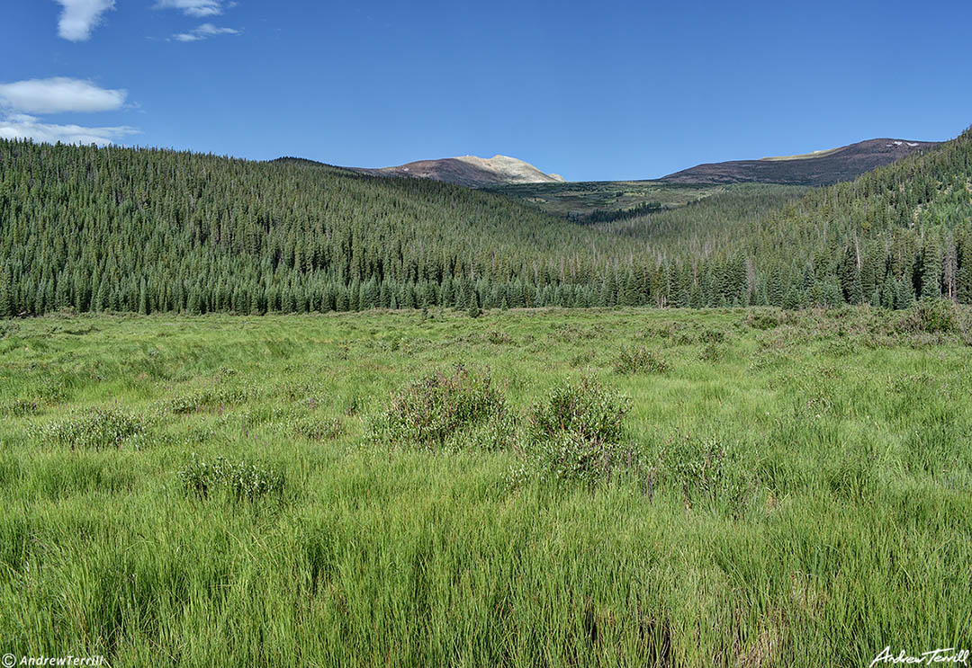 meadow mount blue sky colorado 28 july 2023