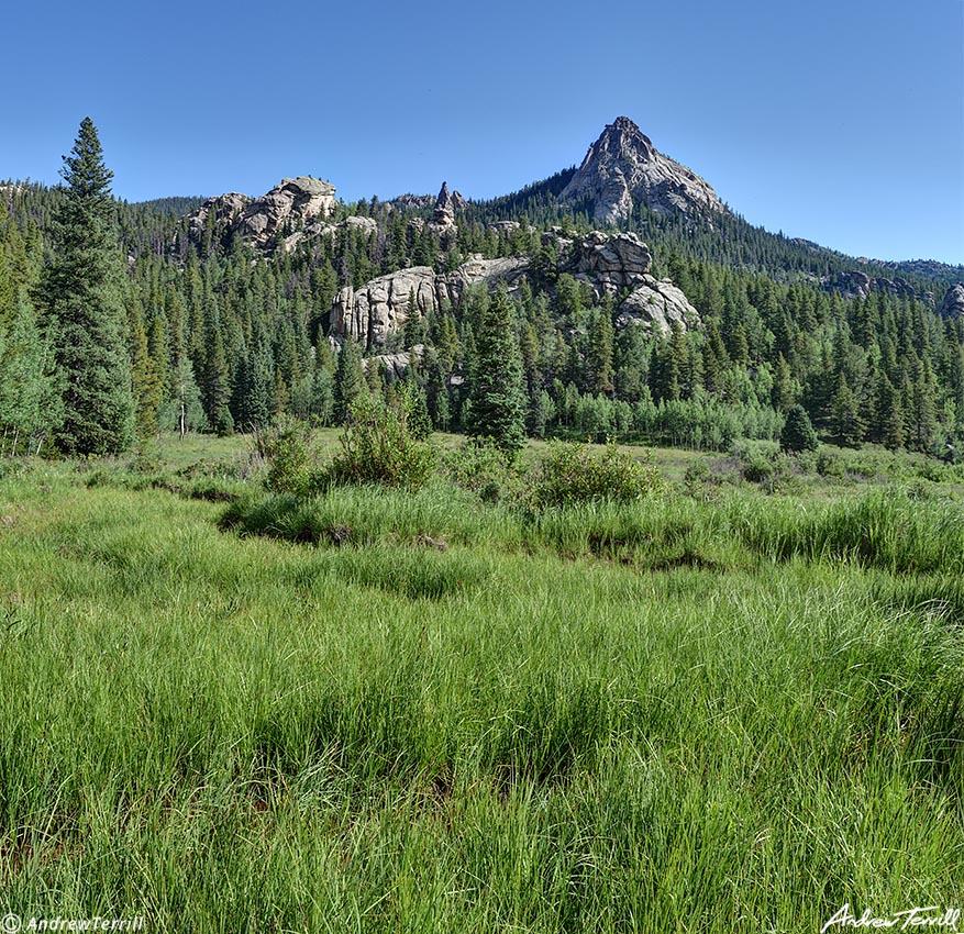 Meadow and outcrops colorado 28 july 2023