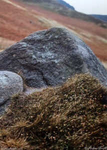 kinder scout gritstone rock detail