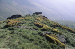 Kinder Scout Grindsbrook Morning Light