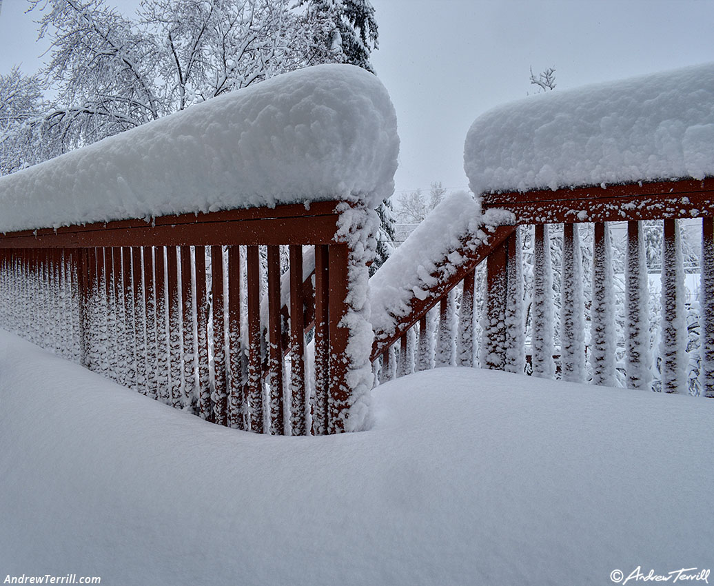 snow on back deck