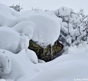 snow and rock - winter north table - 14 march 2024