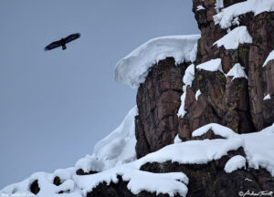 eagle and cornices - north table mountain - 15 march 2024