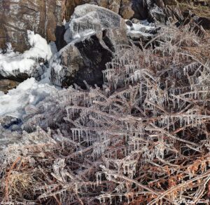 Ice splashed on plants and rocks