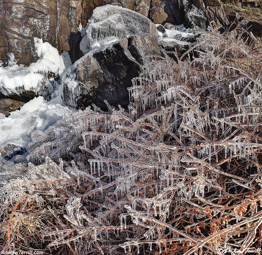  Ice splashed on plants and rocks