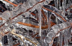 Ice splashed on plants icicles detail