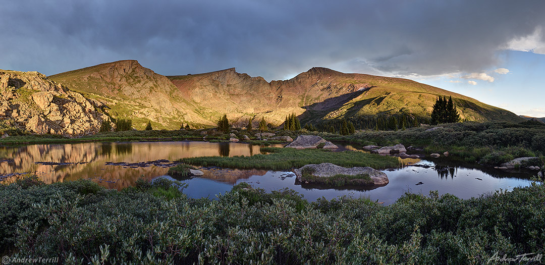 evening light