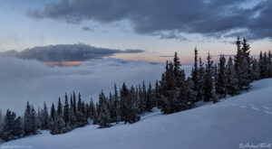 above the clouds forest snow - 10 may 2024