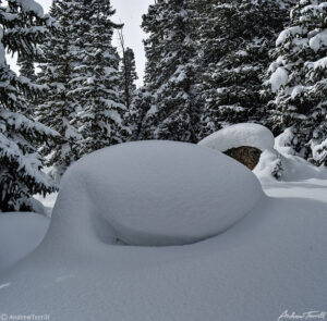 deep snow rocks in the forest