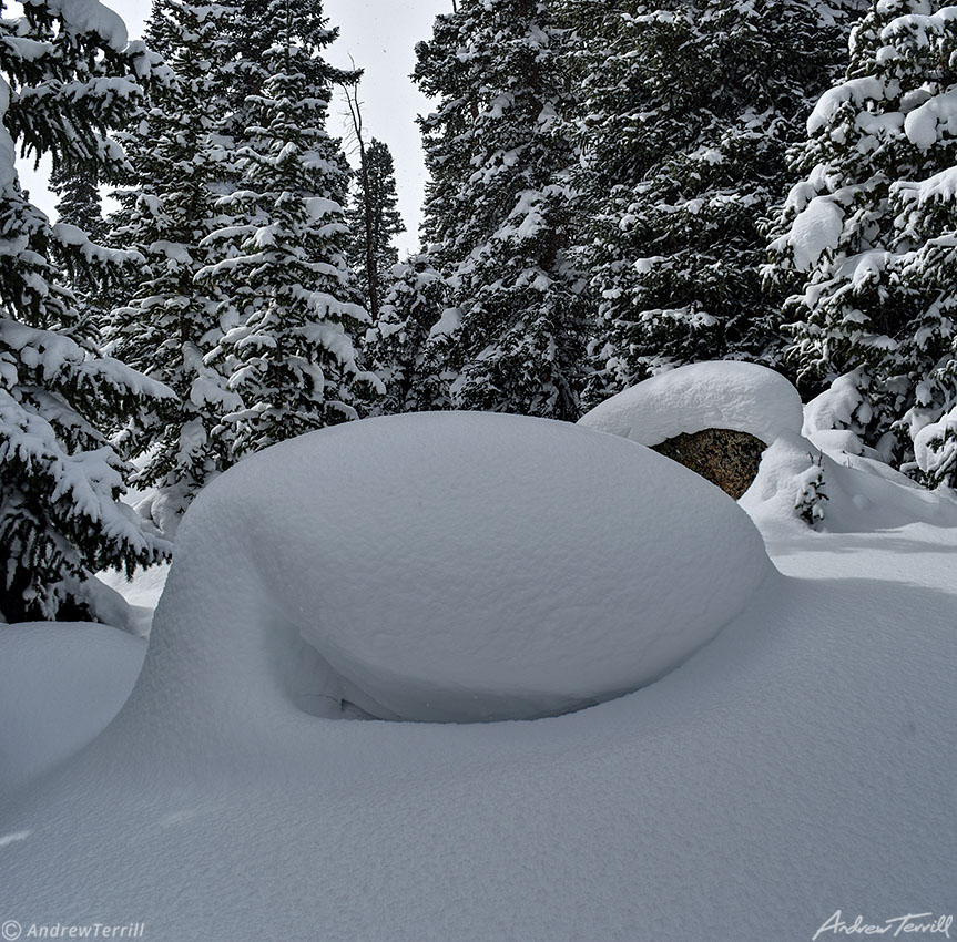 deep snow rocks in the forest 