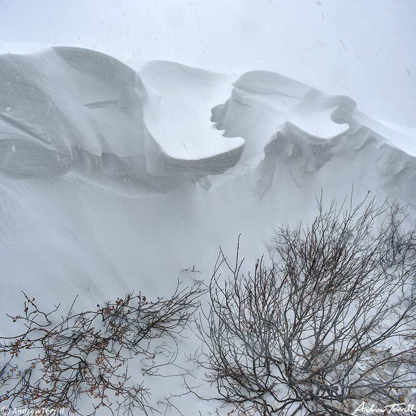  snowdrift snowstorm