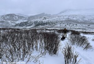 skiing through willows colorado