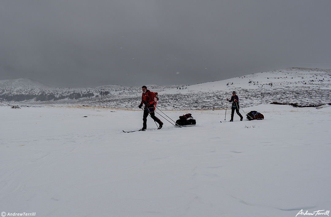 skiing in colorado sleds