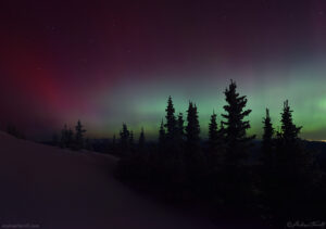 winter snow pines northern lights - may 10 2024