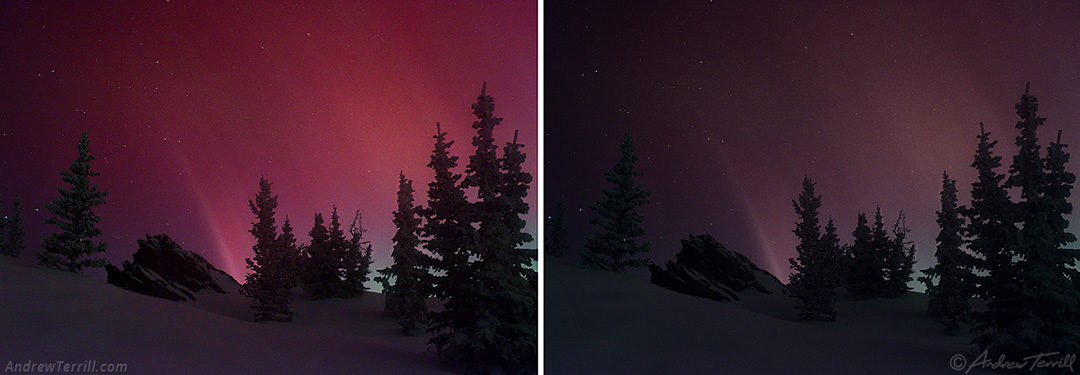 comparison winter snow pines northern lights - may 10 2024