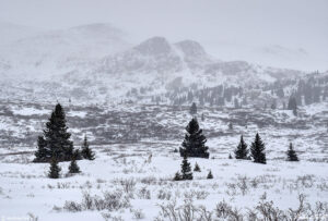 snowstorm winter colorado