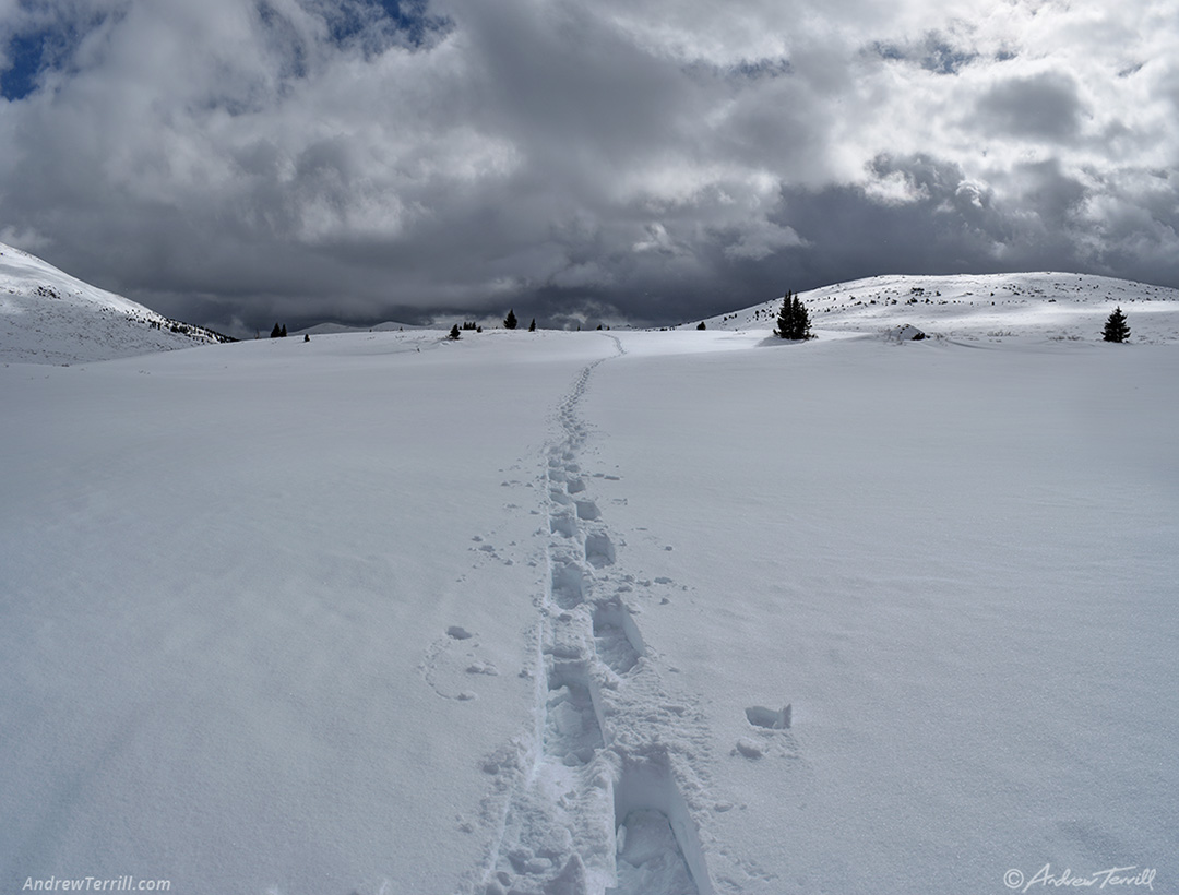 snowshoe tracks colorado