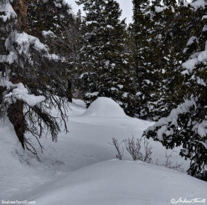 igloo colorado