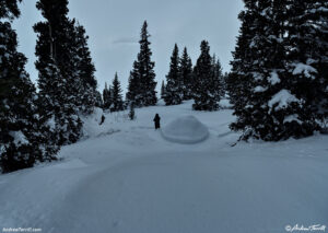 igloo forest hiker