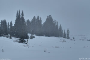 fog and snow colorado