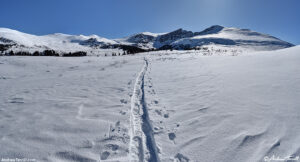 sbowshoe tracks colorado