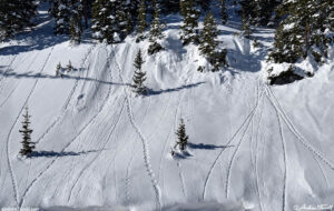 snowball avalanches