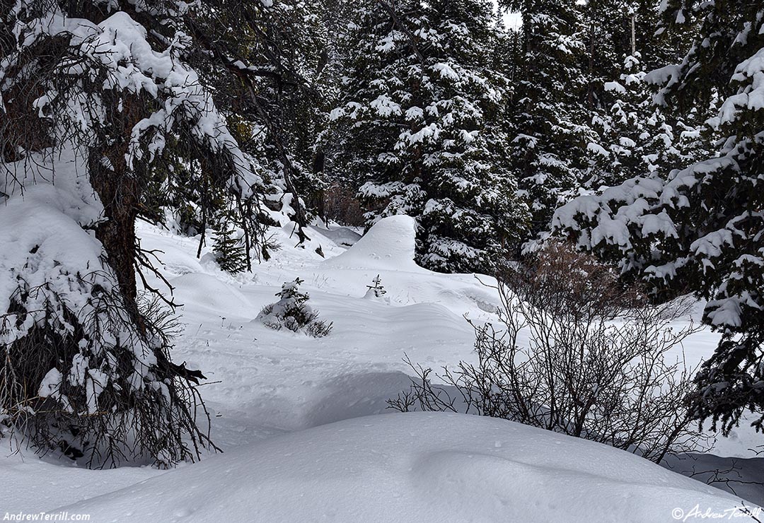 half an igloo colorado