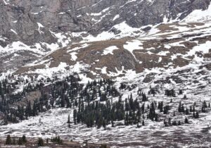 between the seasons guanella pass 31 may 2024