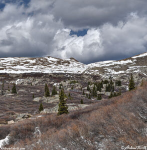 between the seasons guanella pass 31 may 2024