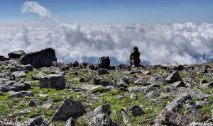 Above it all