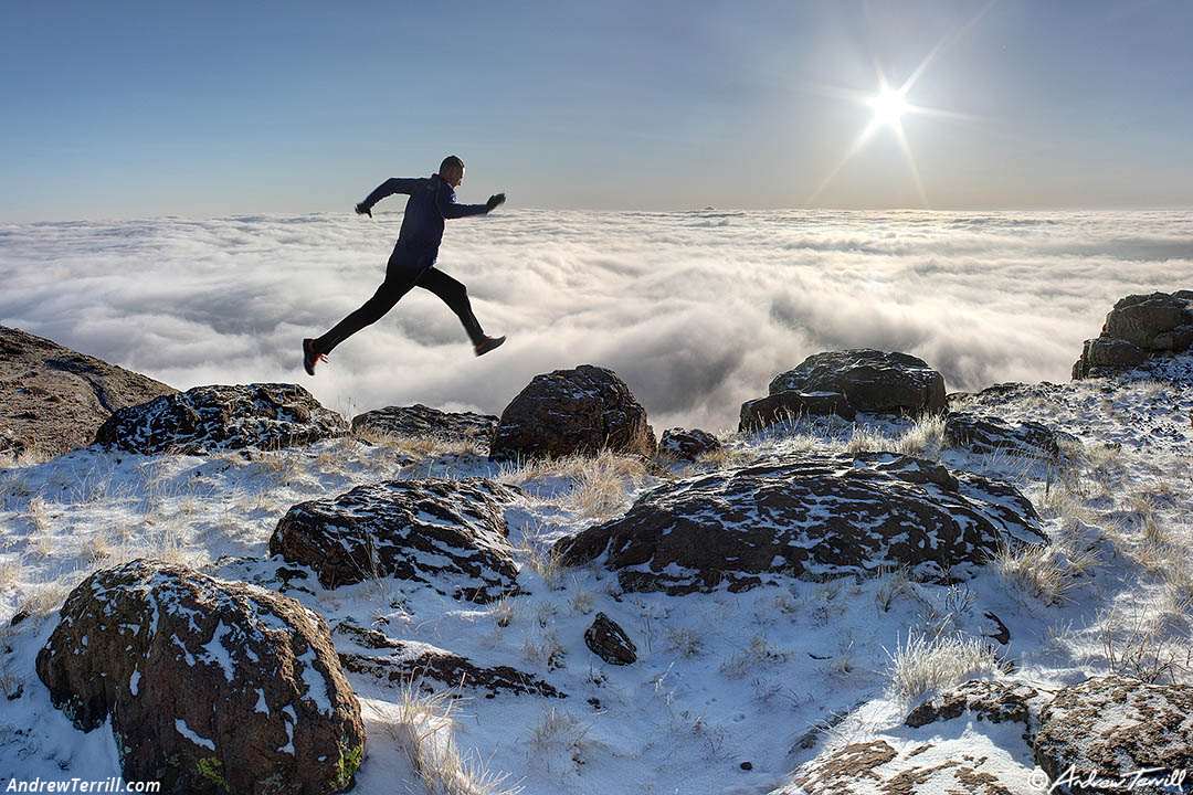 leaping through the snow