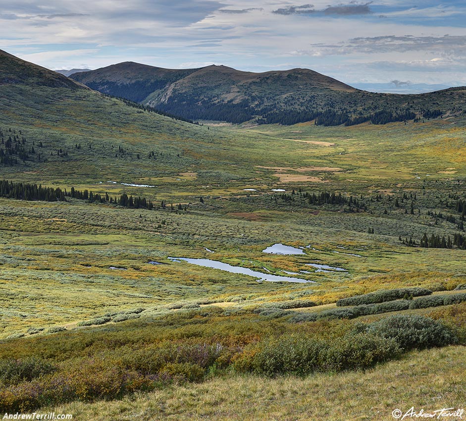 willow flats at the start of fall 25 August 2024