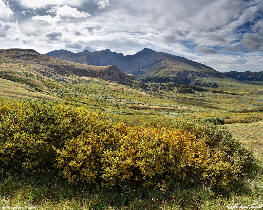 Willow flats at the start of fall 25 August 2024