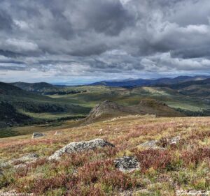 early fall on the mountains 25 August 2024