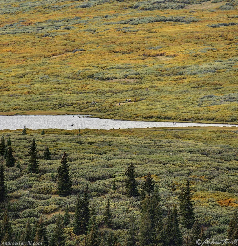 moose pond and willows colorado 26 August 2024