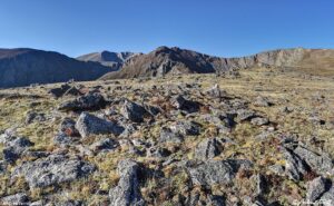 tundra Colorado 02 September 2024